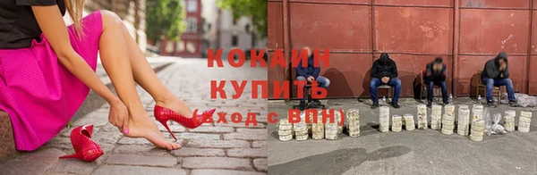 мяу мяу мука Аркадак