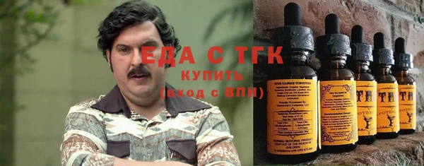 хмурый Новозыбков