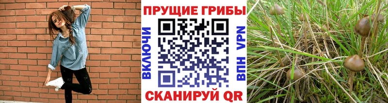 Галлюциногенные грибы прущие грибы  мега сайт  Ртищево 